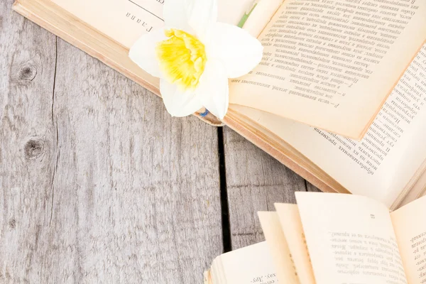 Summer pictures with an open book. Open book on the background of nature. Knowledge is power. Flowers in the book. Education. on the wooden table. Teacher's day. Empty space for text