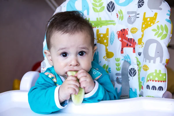 Bebê comendo legumes. numa cadeira alta. Um bebé a nascer, a comer o pepino, o conceito de comida de bebé, a alimentar o bebé. Lar recém-nascido. comida saudável. A primeira comida que uma criança come lanches nutritivos . — Fotografia de Stock