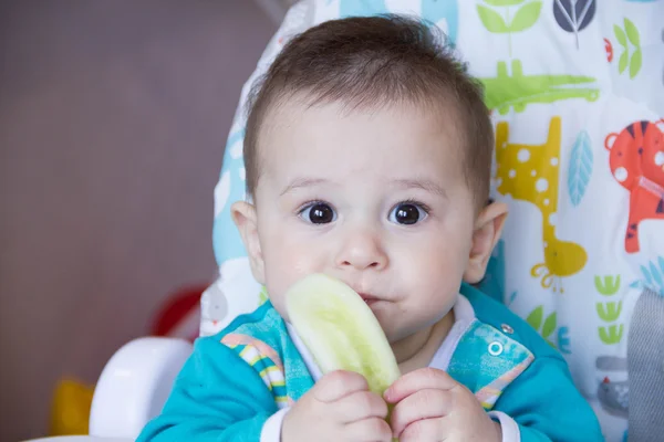 Bebê comendo legumes. numa cadeira alta. Um bebé a nascer, a comer o pepino, o conceito de comida de bebé, a alimentar o bebé. Lar recém-nascido. comida saudável. A primeira comida que uma criança come lanches nutritivos . — Fotografia de Stock