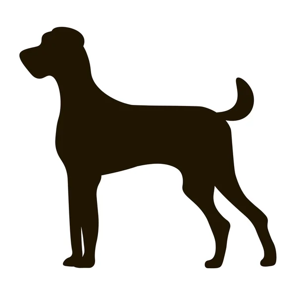 Siyah siluet büyük köpek simgesi tasarım, izole vektör çizim, grafik. — Stok Vektör