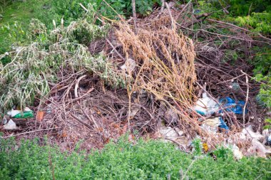 Yasadışı çöpe atılır. Nehre landfill. kirli çevre. sorun kavramı