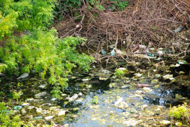 Yasadışı çöpe atılır. Nehre landfill. kirli çevre. sorun kavramı