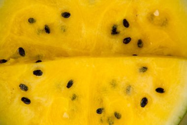 Karpuz sarı. Karpuz dilimi çubuklu dondurmayı vintage mavi rustik ahşap arka plan üzerinde. nefis taze yaz meyve Şekerli tatlı. Demet dilimlenmiş