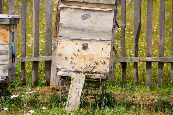 フィールドでミツバチの巣箱の行。花のフィールドに養蜂家。緑豊かな庭園のリンク先掲示板へ飛ぶ蜂と養蜂場でハイブ。ミツバチのハイブ. — ストック写真