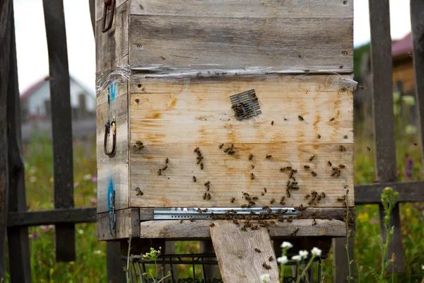 Uma fileira de colmeias de abelhas num campo. O apicultor no campo das flores. Colmeias em um apiário com abelhas voando para as tábuas de pouso em um jardim verde. urticária com abelhas . — Fotografia de Stock