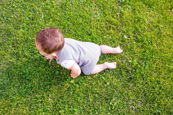 Little baby learning to crawl on the grass a Sunny summer day. the concept of children's development months. happy child playing Playground. funny cute character face, kid stuck showing tongue — Stock Photo, Image