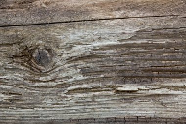 Gerçekçi ahşap arka plan. Doğal sesleri, grunge tarzı. Ahşap doku, gri tahta çizgili ahşap Resepsiyon yakın çekim. Vintage Weathered ahşap rustik.