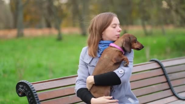 Slow motion. Little dog with owner spend a day at the park playing and having fun. close up Shot video. — Stock Video