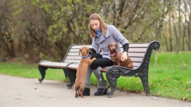 Ağır çekim. Sahibi olan küçük köpek bir gününü parkta oyun oynayarak ve eğlenerek geçiriyor. Görüntüyü kapat.