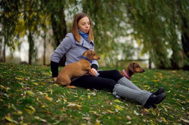 Gülümseyen bayan köpeğiyle boş zaman geçiriyor. Doğada küçük köpeğiyle rahatlayan bir kadın. Sırtını kaşıyorum. Köpek sahibinin burnunu yalıyor..