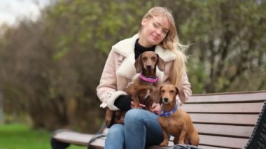 Ağır çekim. Sahibi olan küçük köpek bir gününü parkta oyun oynayarak ve eğlenerek geçiriyor. Yakın çekim videosu. yavaş çekim