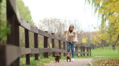 Ağır çekim. Sahibi olan küçük köpek bir gününü parkta oyun oynayarak ve eğlenerek geçiriyor. Yakın çekim videosu. Gülümseyen bayan köpeğiyle boş zaman geçiriyor. Doğada küçük köpeğiyle rahatlayan bir kadın..