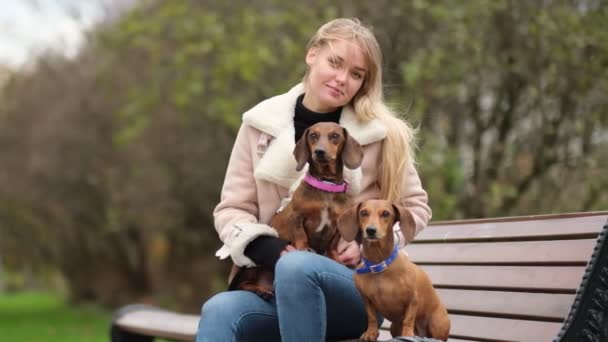 Zeitlupe. Kleiner Hund mit Herrchen verbringt einen Tag im Park beim Spielen und Spaß haben. Nahaufnahme Shot Video. Zeitlupe — Stockvideo