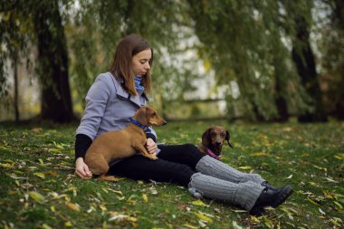 Gülümseyen bayan köpeğiyle boş zaman geçiriyor. Doğada küçük köpeğiyle rahatlayan bir kadın. Sırtını kaşıyorum. Köpek sahibinin burnunu yalıyor..