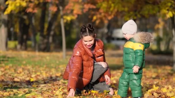 Imágenes de 4k del niño con la madre recogiendo y recogiendo hojas doradas de otoño en el parque de cámara lenta. Cambios de enfoque en rack — Vídeo de stock