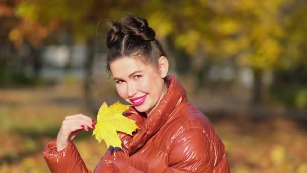 Heureuse femme souriante tenant dans ses mains feuilles d'érable jaune couvrant son oeil sur fond de mur gris sur automne nature fond — Video