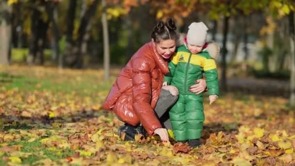 Imágenes de 4k del niño pequeño con la madre recogiendo y recogiendo hojas doradas de otoño en el parque de cámara lenta. — Vídeos de Stock