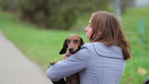 Young woman hugs her little dog view from the back. Lifestyle portrait. close up Shot video. Slow motion — Stock Video