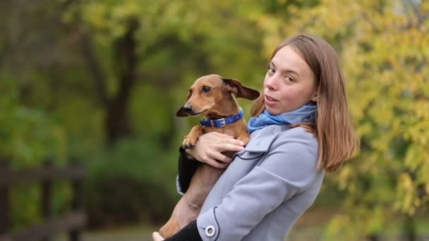 Lächelnde Dame, die sich Zeit mit ihrem Hund nimmt. Frau entspannt sich in der Natur mit ihrem kleinen Hund. Sie kratzt sich am Rücken. Hund leckt seiner Besitzerin Nase. Zeitlupe in Großaufnahme — Stockvideo