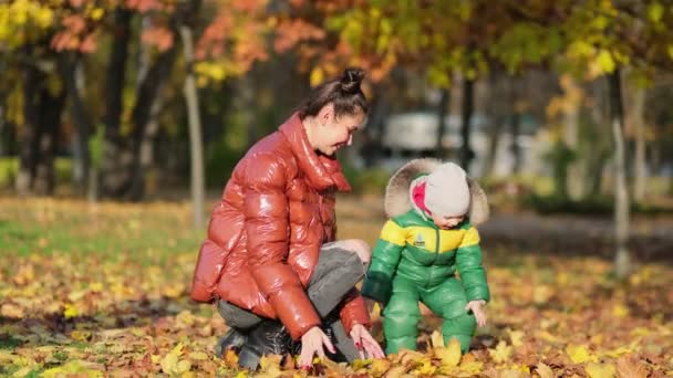 4k filmato di bambino con la madre che raccoglie e raccoglie foglie d'autunno dorate al parco al rallentatore girato. — Video Stock