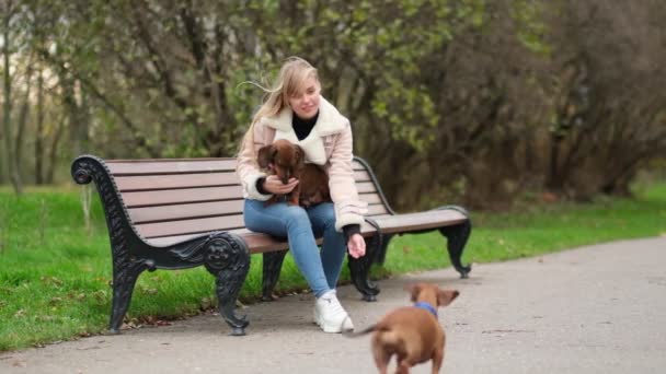 Usmívající se dáma tráví volný čas se psem. Žena relaxace v přírodě se svým malým psem. — Stock video