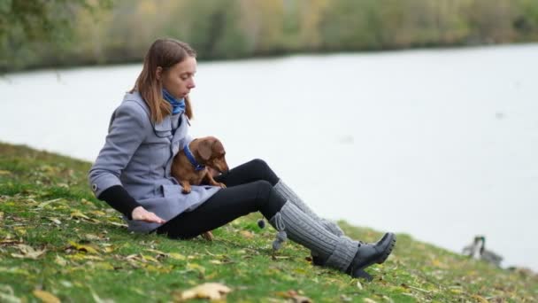 Lächelnde Dame, die sich Zeit mit ihrem Hund nimmt. Frau entspannt sich in der Natur mit ihrem kleinen Hund. Sie kratzt sich am Rücken. Hund leckt seiner Besitzerin Nase. Zeitlupe in Großaufnahme — Stockvideo