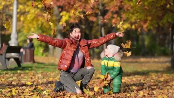 Filmagem 4k de menino com a mãe coletando e colhendo folhas de outono douradas no parque tiro em câmera lenta. — Vídeo de Stock