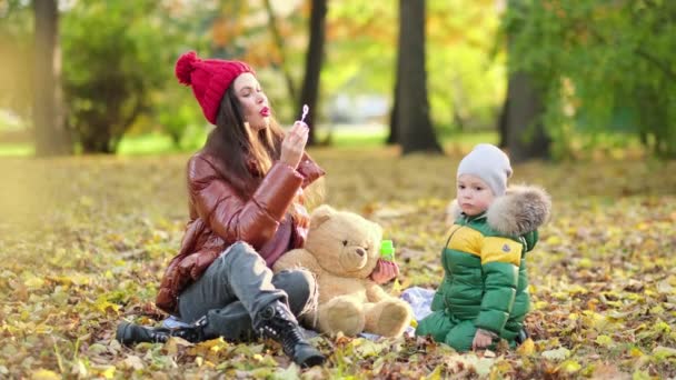 Mamá joven o niñera están jugando en el parque. Mamá sopla burbujas de jabón. caminar en el otoño en la naturaleza. familia feliz — Vídeos de Stock