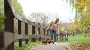 Ağır çekim. Sahibi olan küçük köpek bir gününü parkta oyun oynayarak ve eğlenerek geçiriyor. Yakın çekim videosu. Gülümseyen bayan köpeğiyle boş zaman geçiriyor. Doğada küçük köpeğiyle rahatlayan bir kadın..