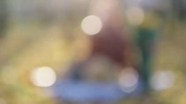 Genç anne ya da dadı parkta oynuyorlar. Annem sabun köpüğü üflüyor. Sonbaharda doğada yürümek. Mutlu bir aile. Manzarayı kapat. Yavaş çekim videosu. depolama görüntüleri