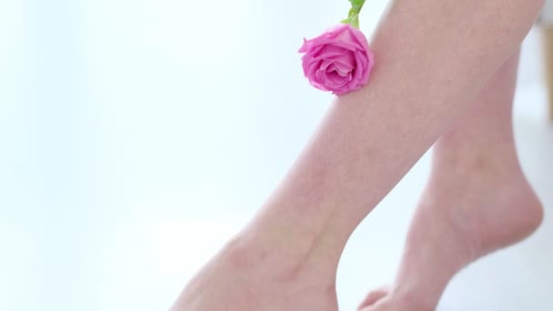 Femme méconnaissable court une rose fraîche sur la peau. peau tendre comme un concept de rose. soin de la peau d'hiver. vue rapprochée. Vidéo au ralenti. images d'archives. Vidéo au ralenti. images de stock — Video