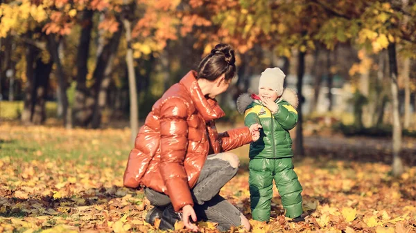 Mama i syn rzucają jesiennymi liśćmi w jesiennym parku, rodzinna zabawa. rodzina ciesząca się spacerem w przyrodzie. szczęśliwa koncepcja macierzyństwa. — Zdjęcie stockowe