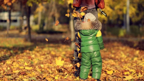 Mama i syn rzucają jesiennymi liśćmi w jesiennym parku, rodzinna zabawa. rodzina ciesząca się spacerem w przyrodzie. szczęśliwa koncepcja macierzyństwa. — Zdjęcie stockowe