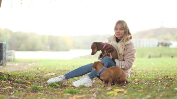 Al rallentatore. Piccolo cane con proprietario trascorrere una giornata al parco a giocare e divertirsi. vicino girato video. — Video Stock