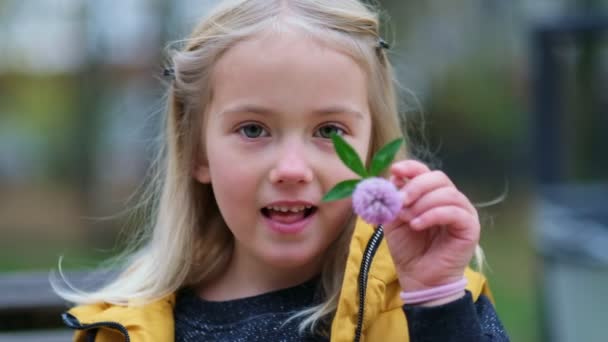 Portret uroczej dziewczynki trzyma w rękach kwiat koniczyny. cute girl 5 lat przebiegłe oczy patrząc z uśmiechem spojrzeć w aparat. Zamknij filmik. Nagranie z wolnego ruchu — Wideo stockowe