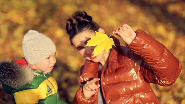 Mamma och son tittar på lönnlöv, studerar naturen i parken. familjen njuter av en promenad i naturen. Glad moderskap koncept. — Stockfoto