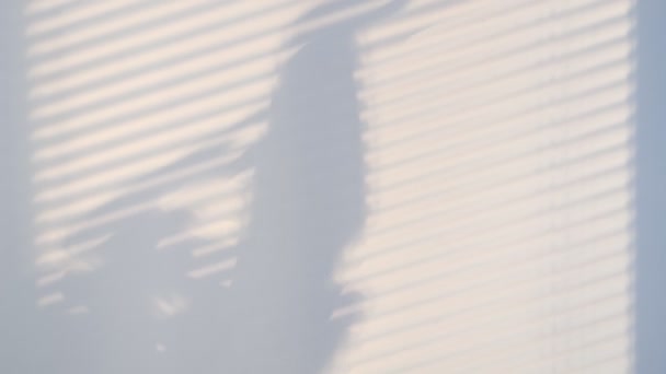 Sombras en la pared desde una ventana cerrada con persianas y una silueta de mujer. Sombras oscuras borrosas moviéndose en la pared. movimiento de sombra. Vídeo en cámara lenta. material de archivo — Vídeos de Stock