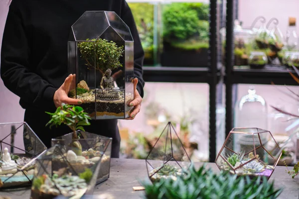 女性は多肉植物のガラスフラリウム花瓶を保持していますミニチュア植物の小さな庭。自宅の屋内植物。DIYのフラリウム。ガラス幾何学的に成長するカラフルな植物 — ストック写真