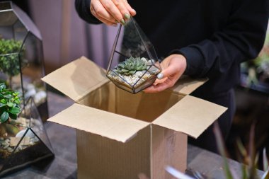 İnternetteki küçük işletme sahibi. Teslimat, posta servisi, insanlar ve sevkiyat konsepti. Paket paketleyen bir kadının yakın çekimi. Dişi küçük işletme sahibi paket kutusu.