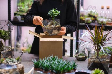 İnternetteki küçük işletme sahibi. Teslimat, posta servisi, insanlar ve sevkiyat konsepti. Paket paketleyen bir kadının yakın çekimi. Dişi küçük işletme sahibi paket kutusu.