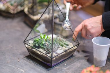 Çiçekçi, taşlı ve sulu floraryumdan yapılma elbiseler giyer. Modern organik iç dekorasyon.