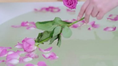Gül yapraklarıyla dolu bir banyo. Lüks Beyaz Mermer Banyo Pembe Gül Yaprakları ile Banyoya Akan Su. Otelde romantik bir hafta sonu. Yüksek kalite 4k görüntü.