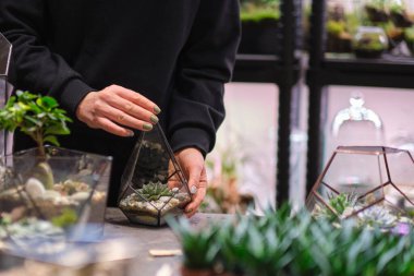 Masada cam geometrik floraryum vazo, küçük sulu bahçe ve floraryum vazolar tutan bir kadın. Profesyonel çiçekçi konsepti. Cam geometrik içinde büyüyen renkli bitkiler