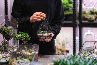 Masada cam geometrik floraryum vazo, küçük sulu bahçe ve floraryum vazolar tutan bir kadın. Profesyonel çiçekçi konsepti. Cam geometrik içinde büyüyen renkli bitkiler