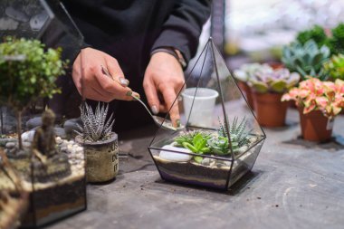 Çiçekçi, taşlı ve sulu floraryumdan yapılma elbiseler giyer. Modern organik iç dekorasyon.
