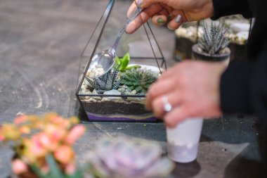 Çiçekçi, taşlı ve sulu floraryumdan yapılma elbiseler giyer. Modern organik iç dekorasyon.