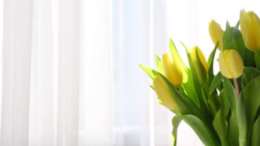 Sarı laleler beyaz masada, bahar mevsiminde. Perdelerin arasından sabah güneşiyle aydınlık bir pencere. Beyaz yatak odasındaki soyut beyaz dalgalı perde.