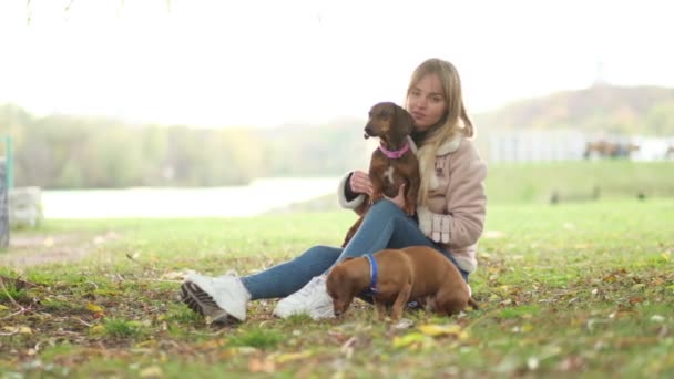 Zeitlupe. Kleiner Hund mit Herrchen verbringt einen Tag im Park beim Spielen und Spaß haben. Nahaufnahme Shot-Video. — Stockvideo