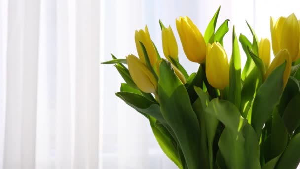 Gelbe Tulpen auf weißem Tisch, Frühlingszeit. Helle Morgensonne im offenen Fenster durch die Vorhänge. Abstrakter weißer schwingender Vorhang in weißer Schlafzimmerwohnung. — Stockvideo
