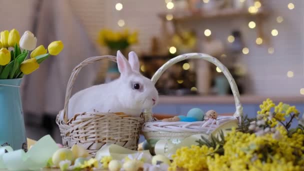 Conejito dulce blanco se sienta en una cesta de mimbre junto a una cesta con huevos decorados y un ramo de tulipanes. Ambiente de Pascua, mesa festiva — Vídeos de Stock